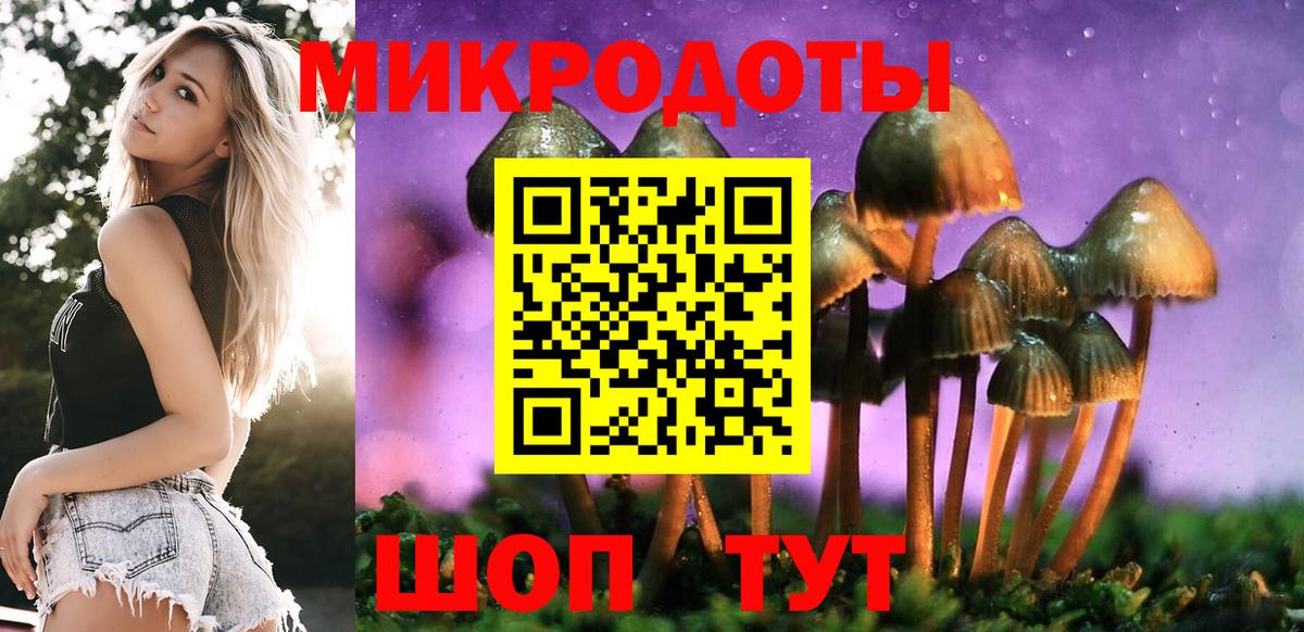 Киржач  Псилоцибиновые грибы мицелий  Галлюциногенные грибы MAGIC MUSHROOMS  Вход с VPN 